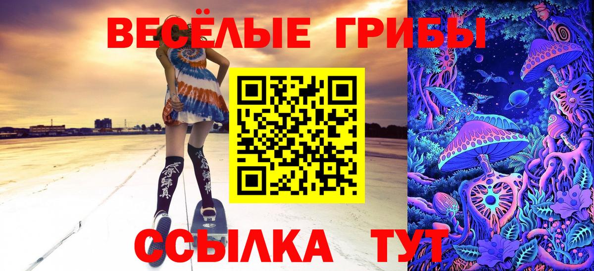 Рязань  Псилоцибиновые грибы Psilocybe  Вход с VPN 